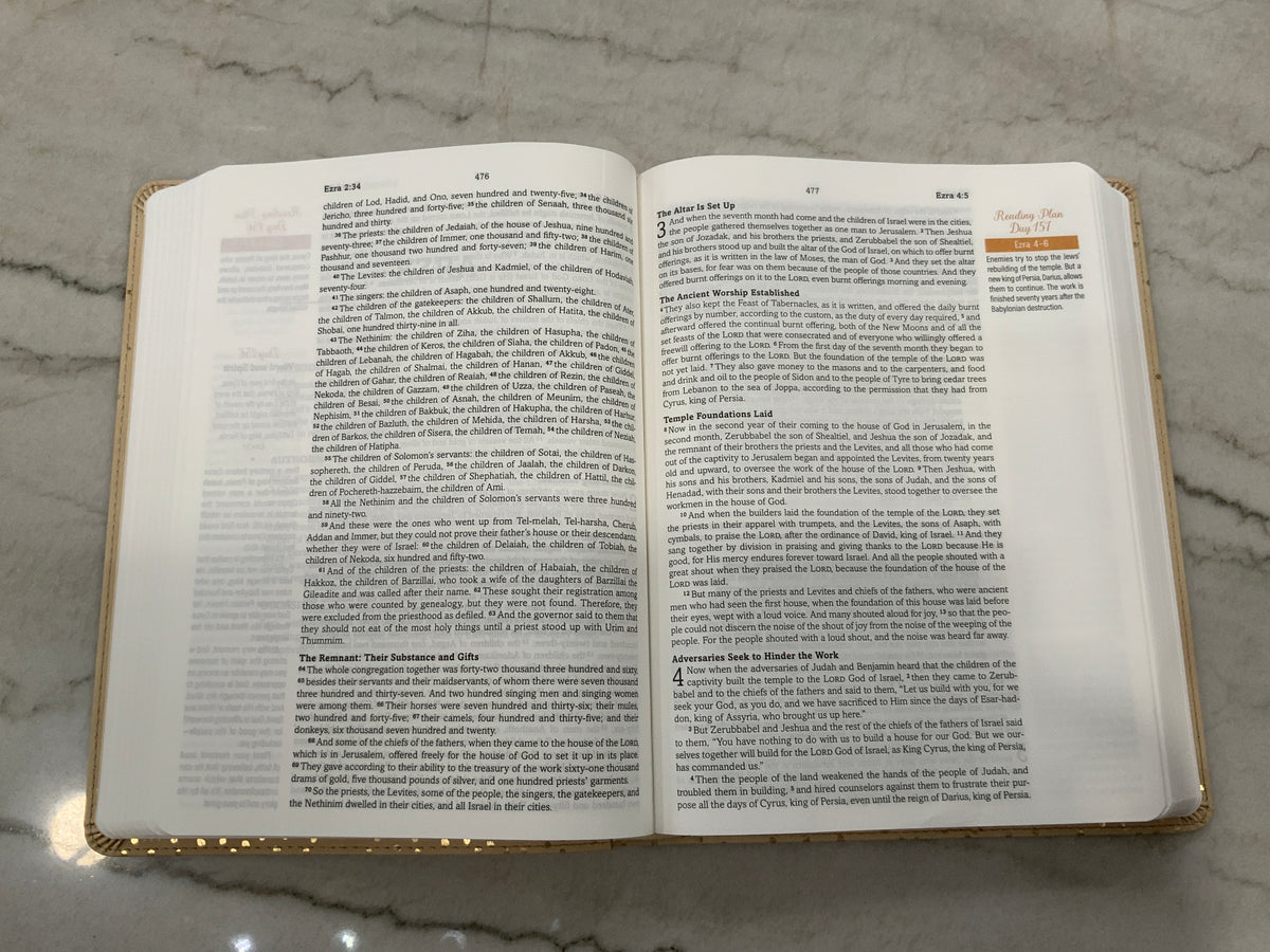 Mustard Seed Faith Devotional Bible