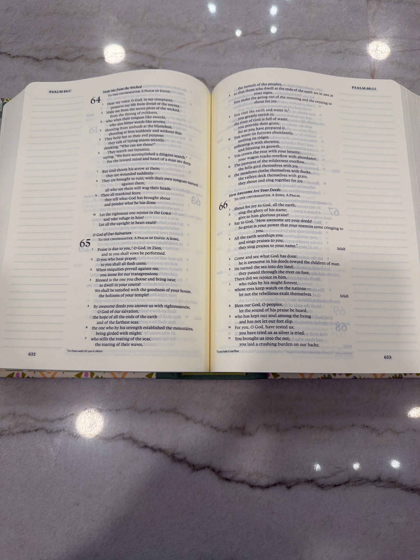 ESV Journaling Bible Pink And Green