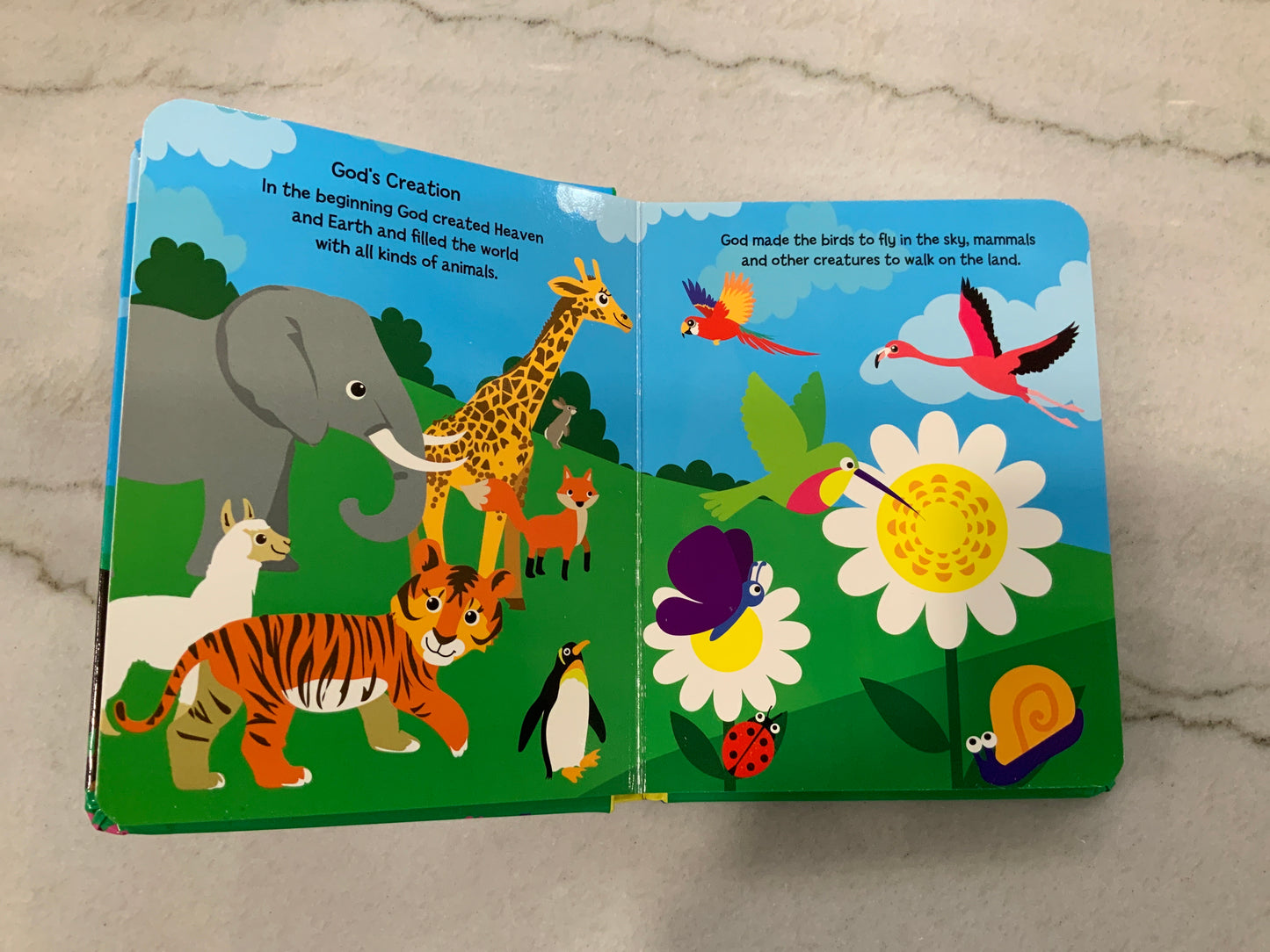 My First Bible Animals Book