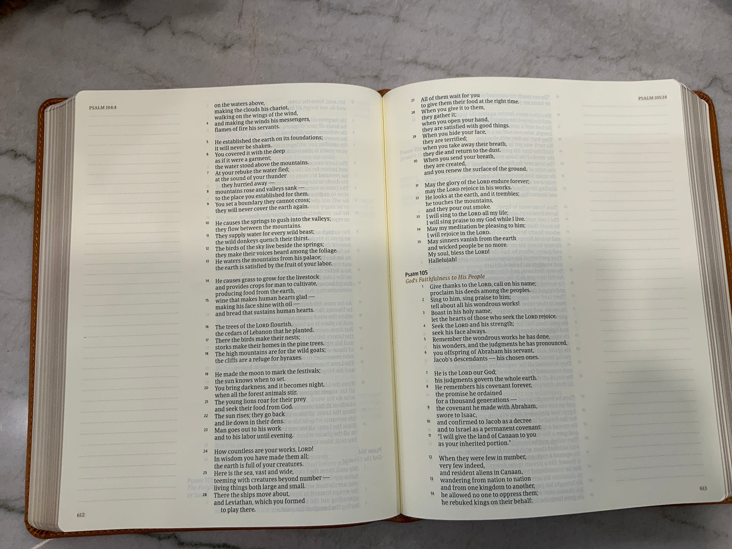 Clara Bible CSB (117)