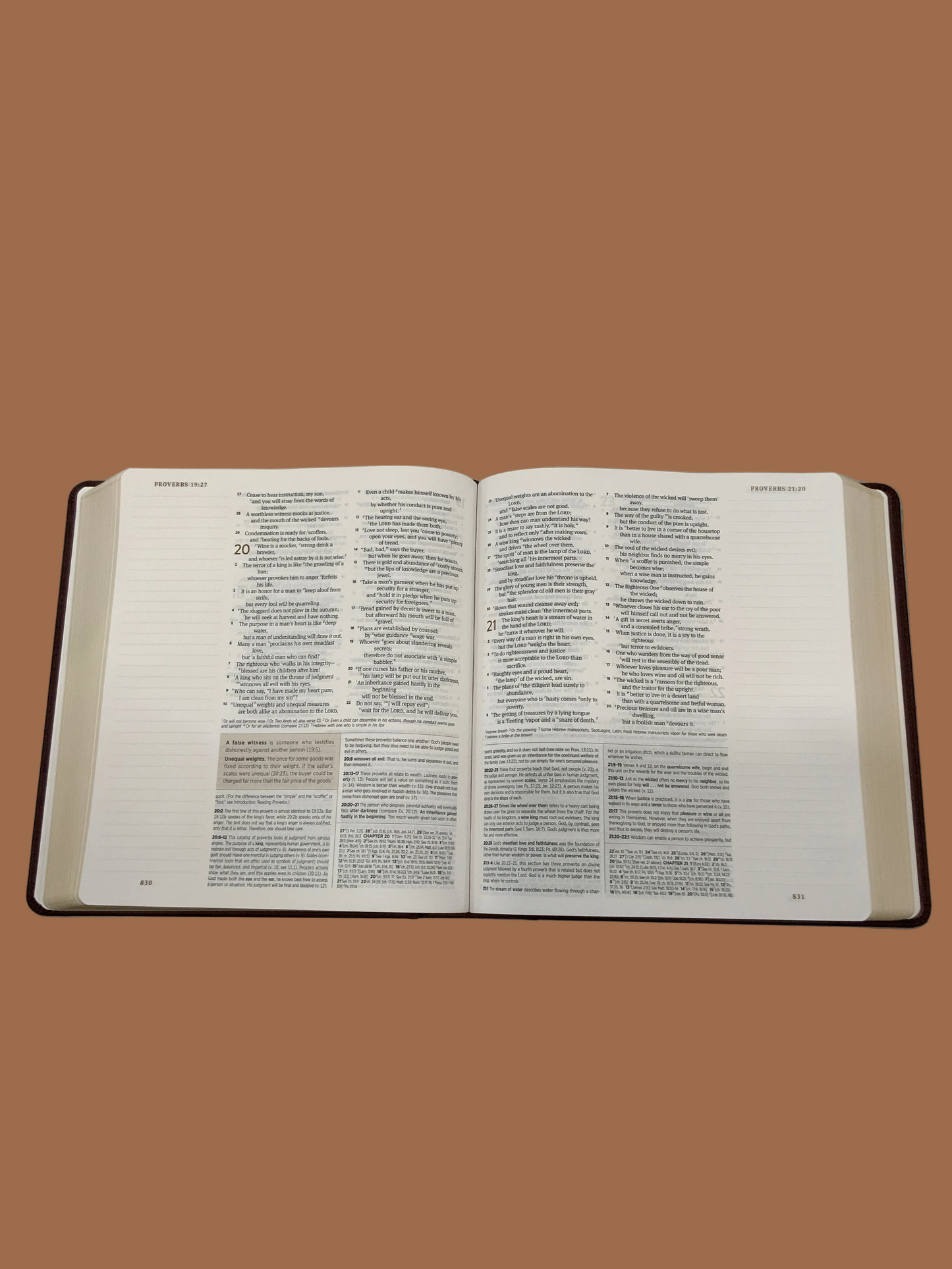 The Story of Redemption Journaling Bible-ESV