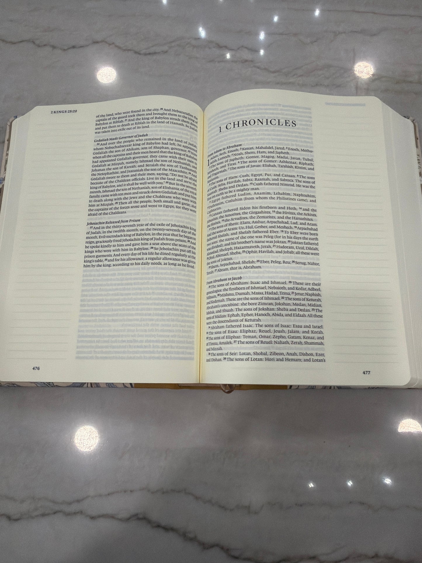 ESV Yellow and blue journaling Bible