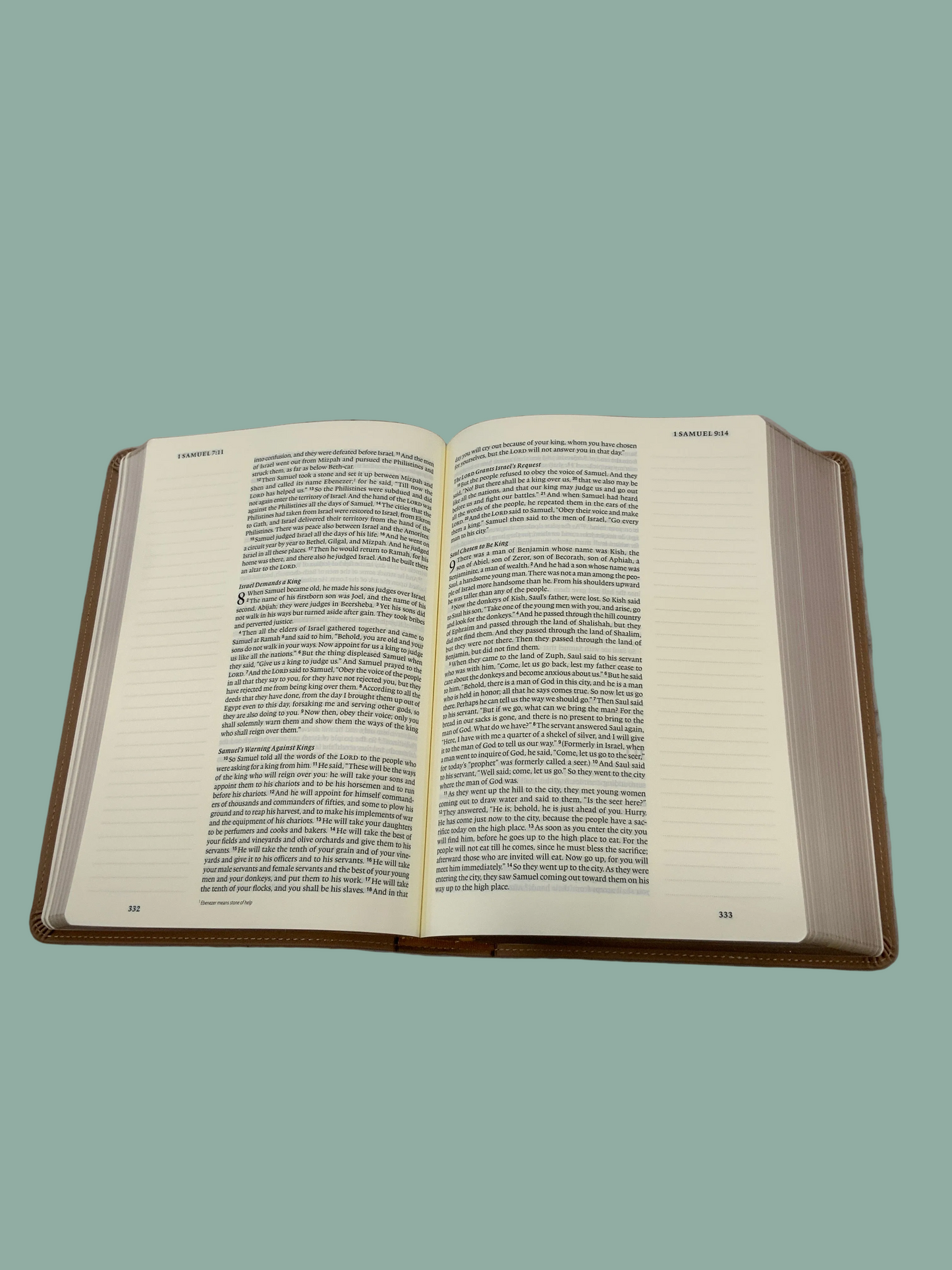 Lamp and Light Journaling Bible