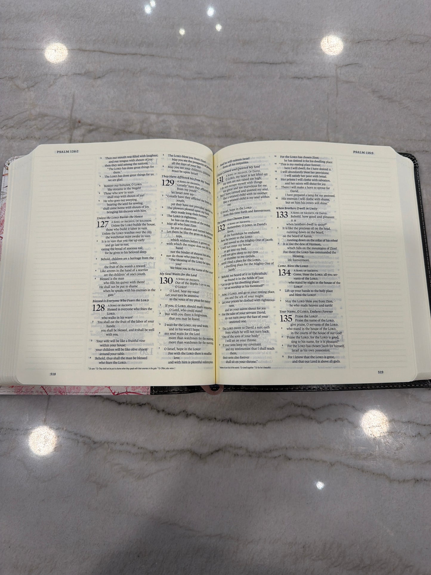 Journaling Bible Elegant Grace