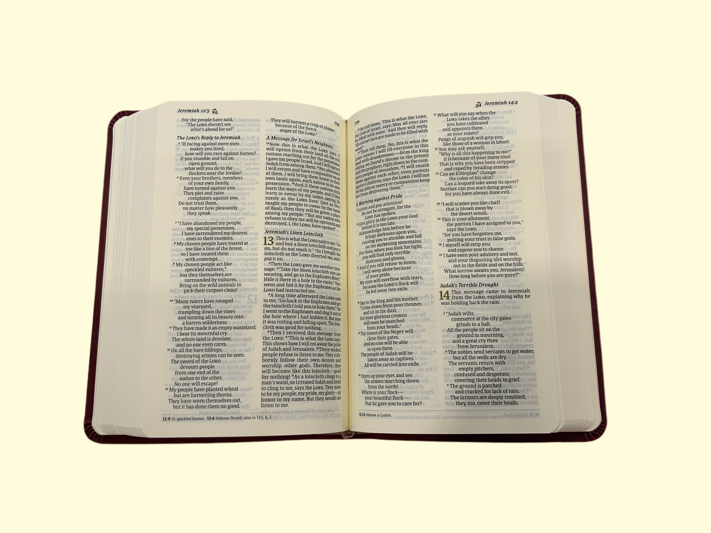Ella Purple Compact Bible (117)