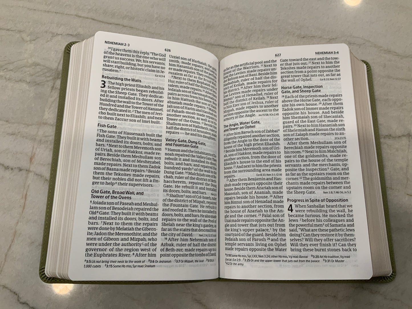 Lacy Green Bible CSB