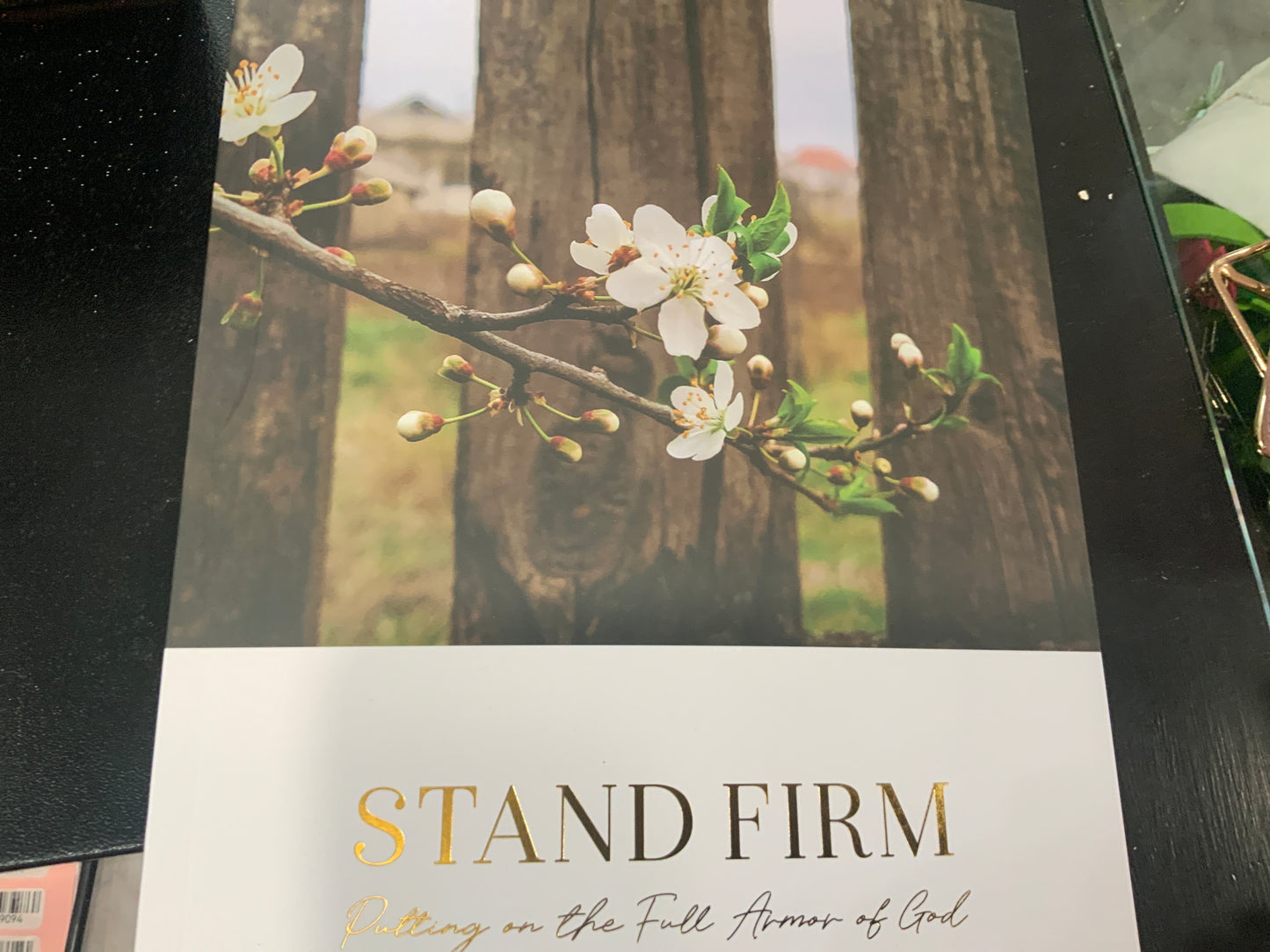 Stand Firm Devotional