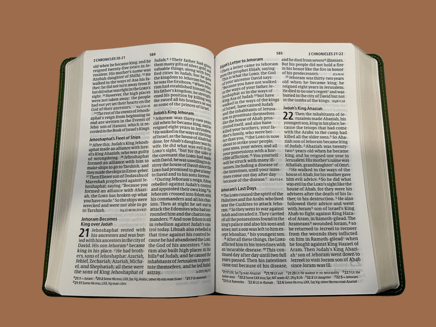 Olive Green Bible