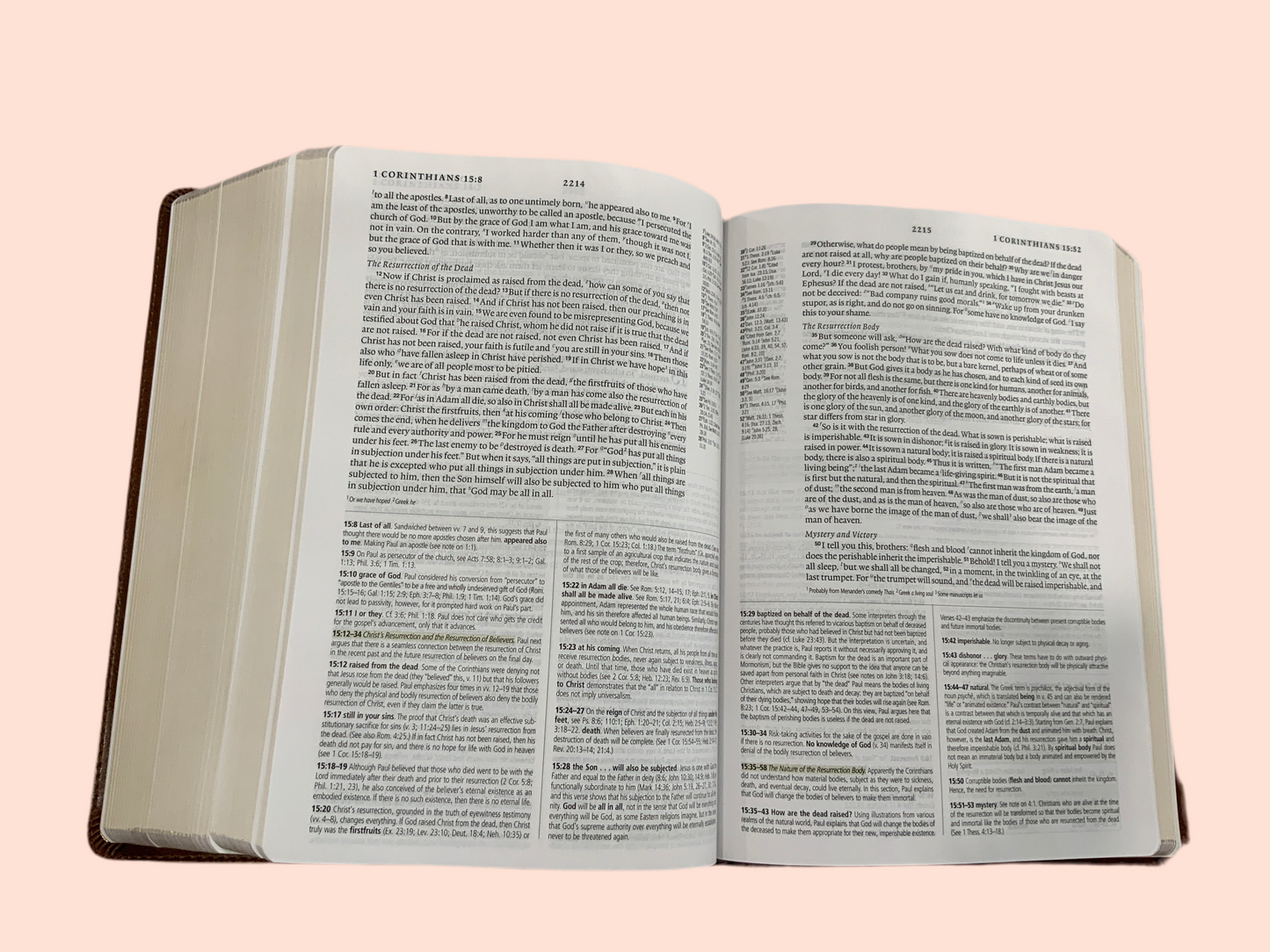 Anna Study Bible - ESV