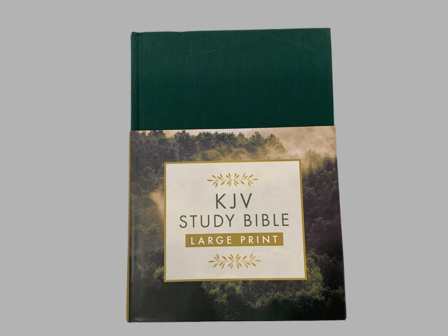 KJV Study Bible