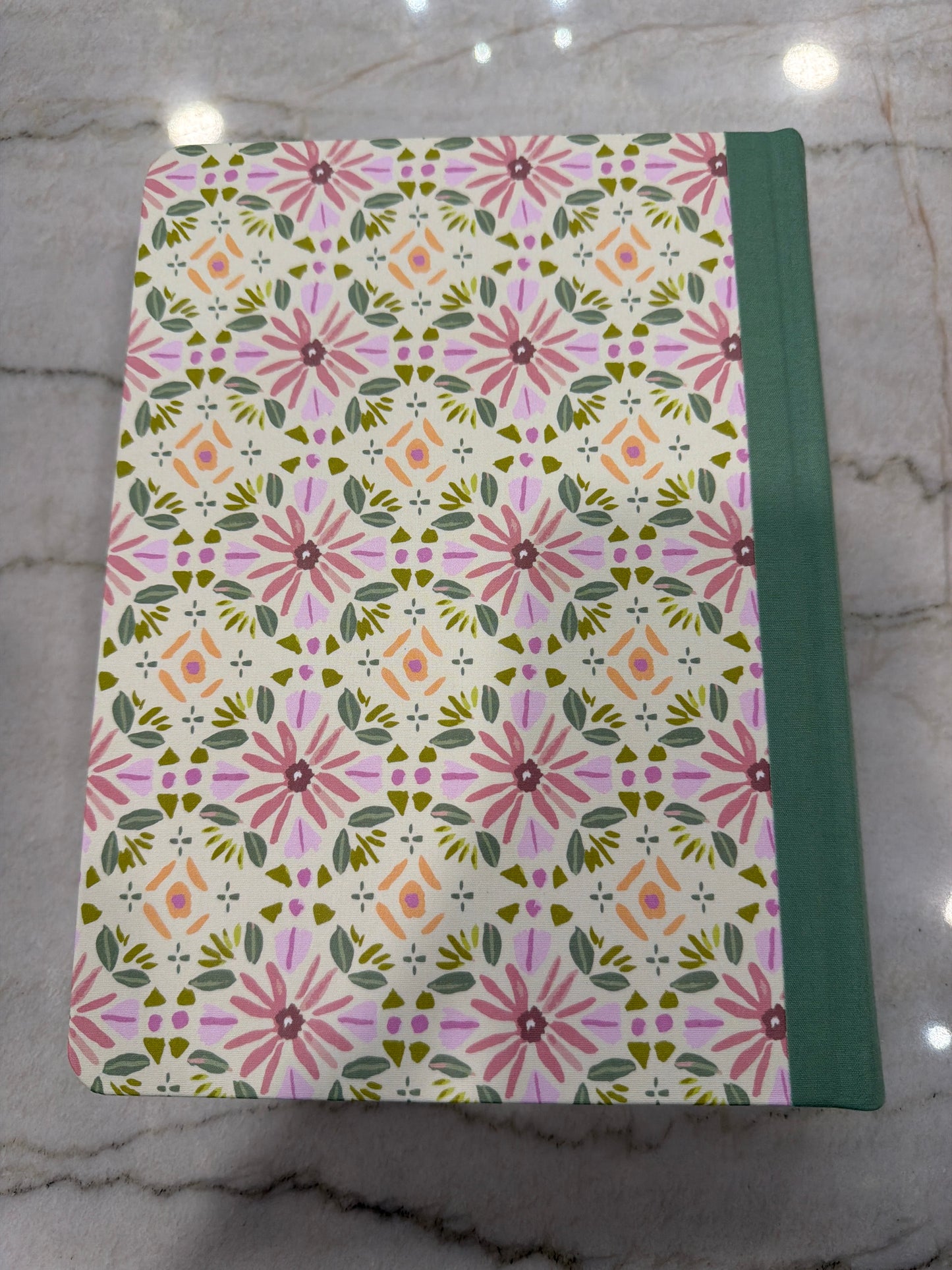 ESV Journaling Bible Pink And Green