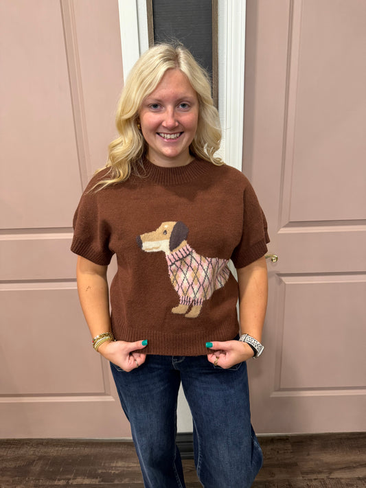 Dark Brown Winnie Dog Sweater