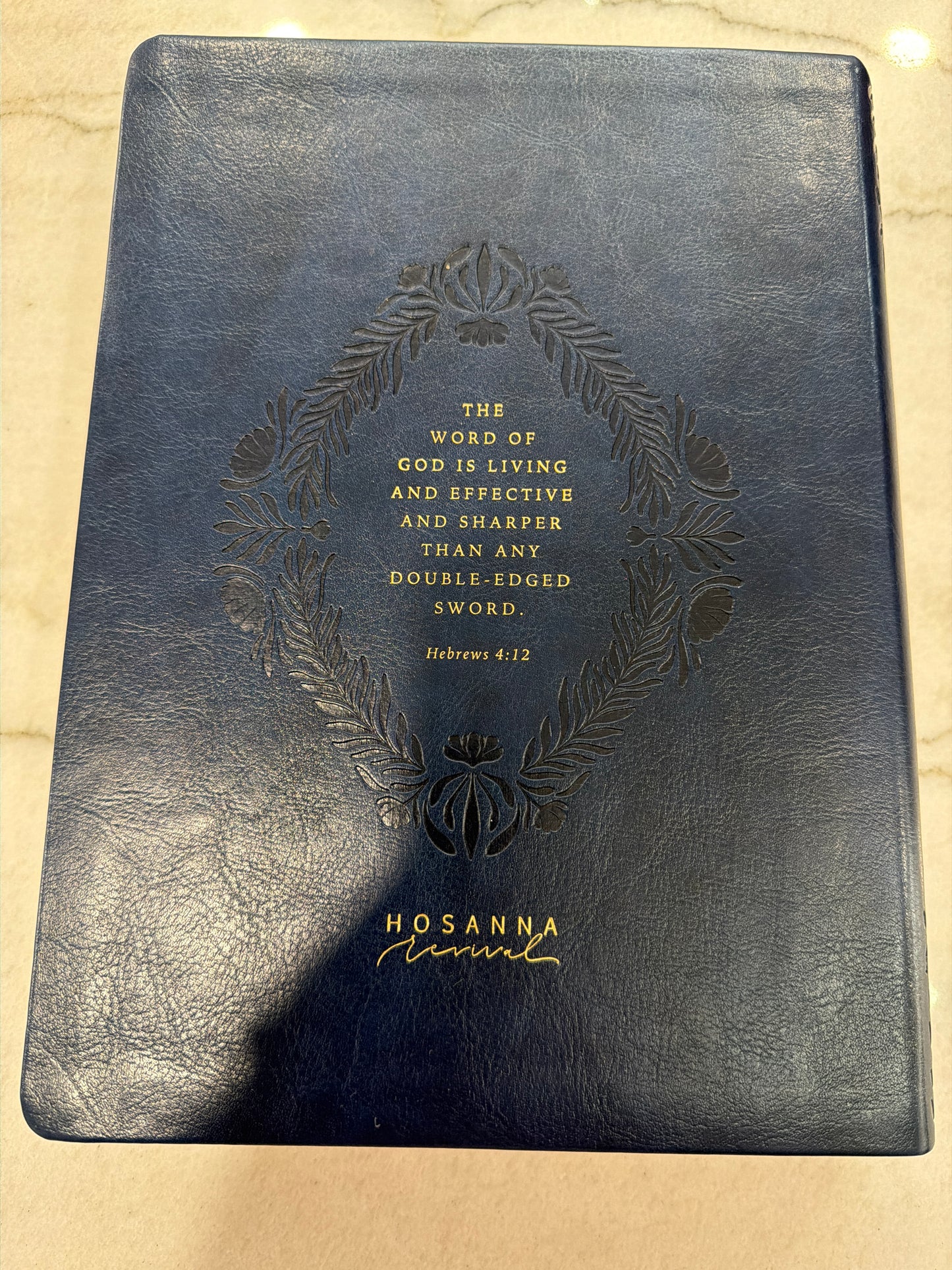 Chloe CSB Study Bible