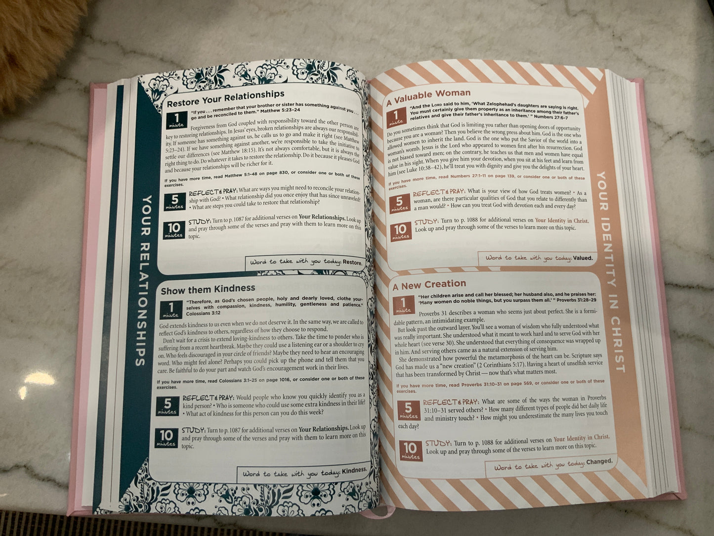 The Busy’s Mom Bible NIV