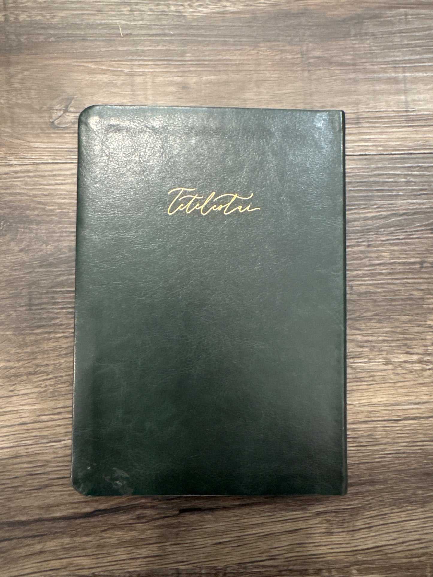 Amanda Notebook (117)