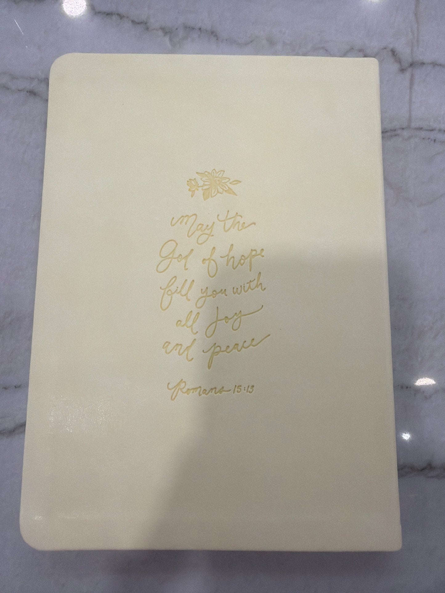 Claire Yellow Notebook (117)
