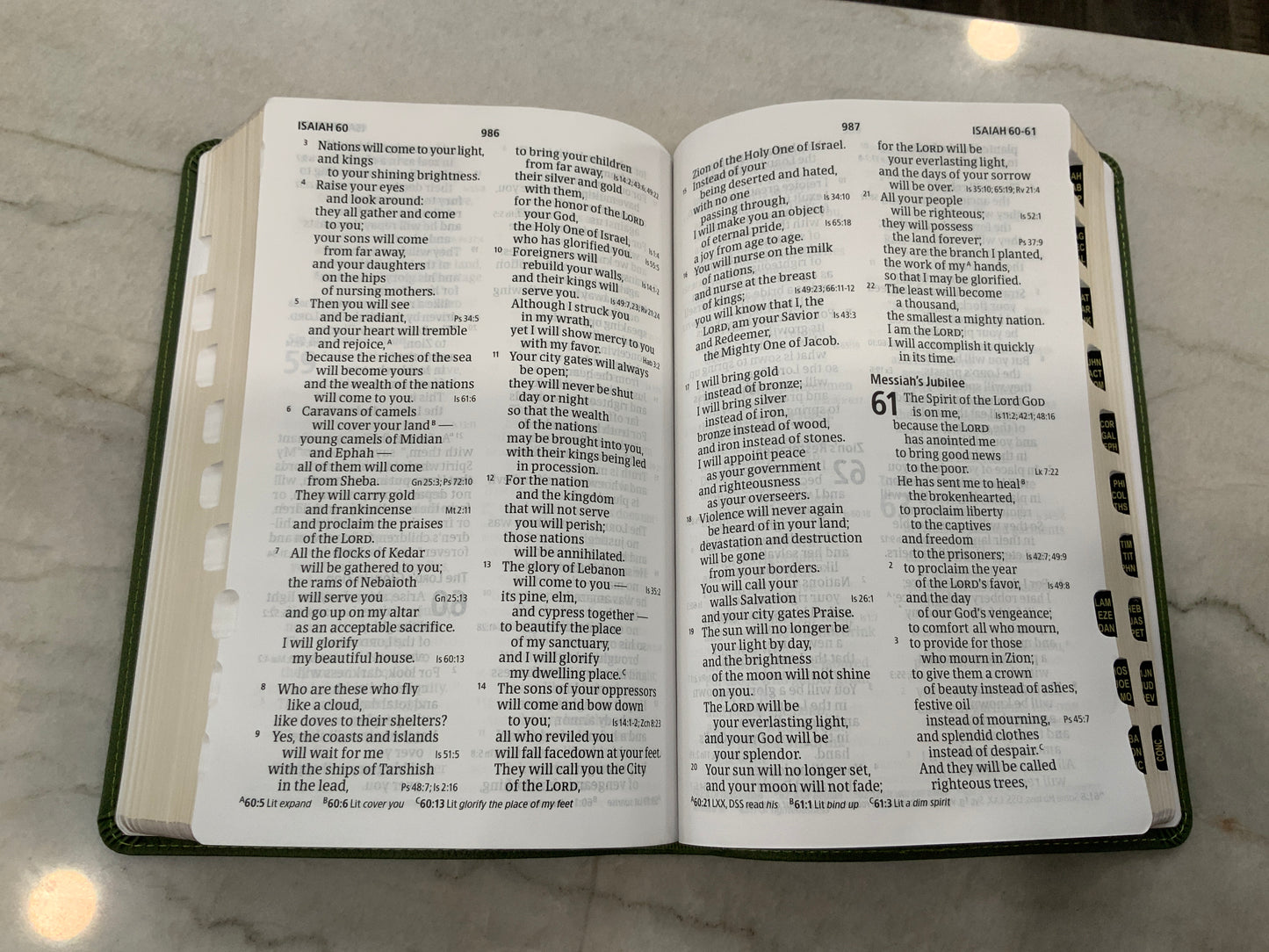 Ruth Olive CSB Bible