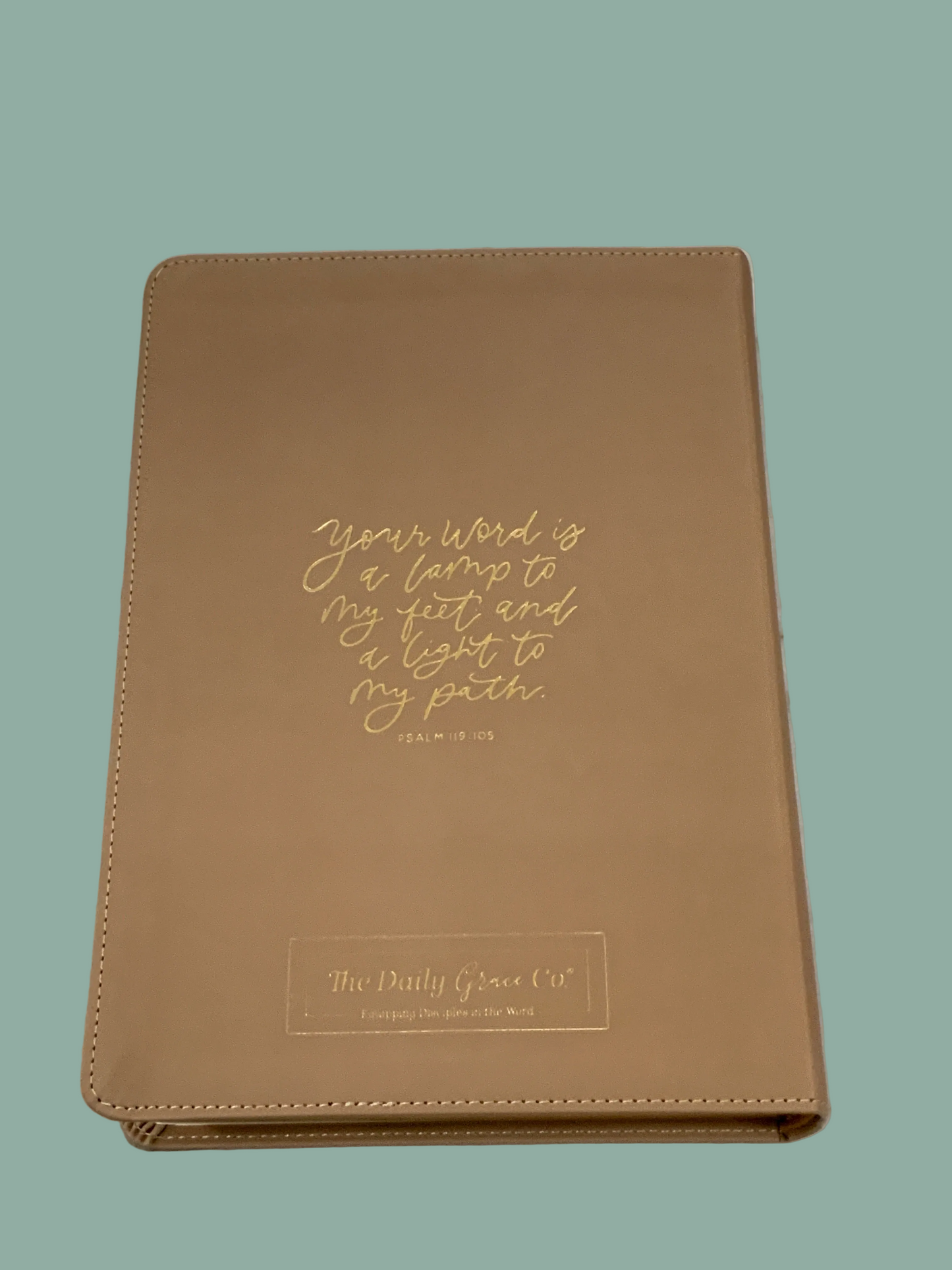Lamp and Light Journaling Bible