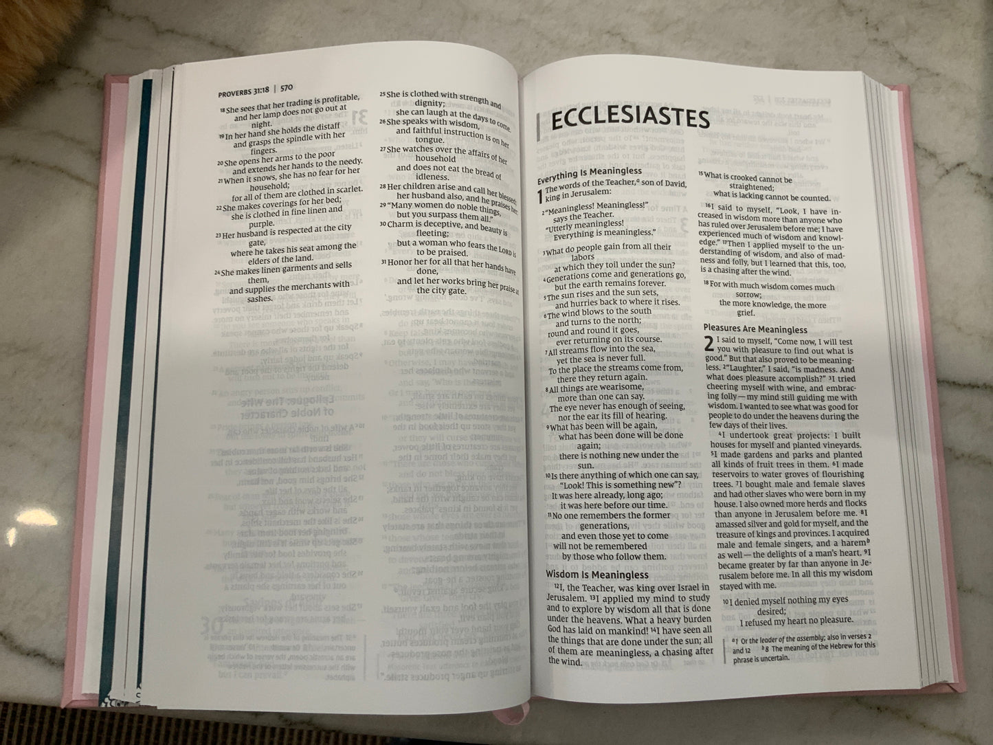 The Busy’s Mom Bible NIV