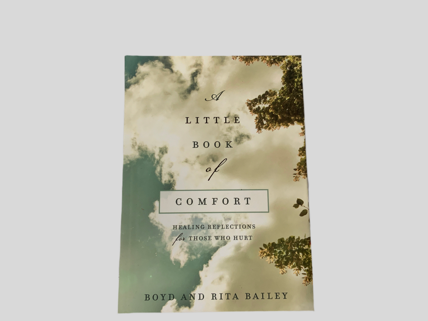 A Little Book of Comfort (117)