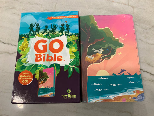 Beach Sunrise- Go Bible NLT for kids