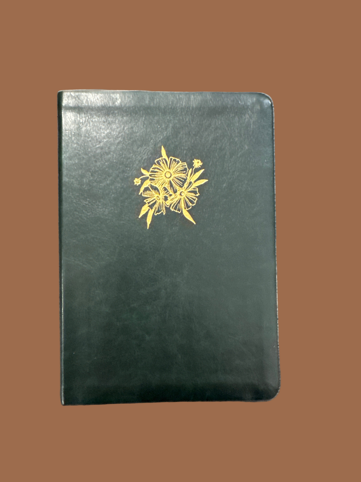 Amanda Notebook (117)