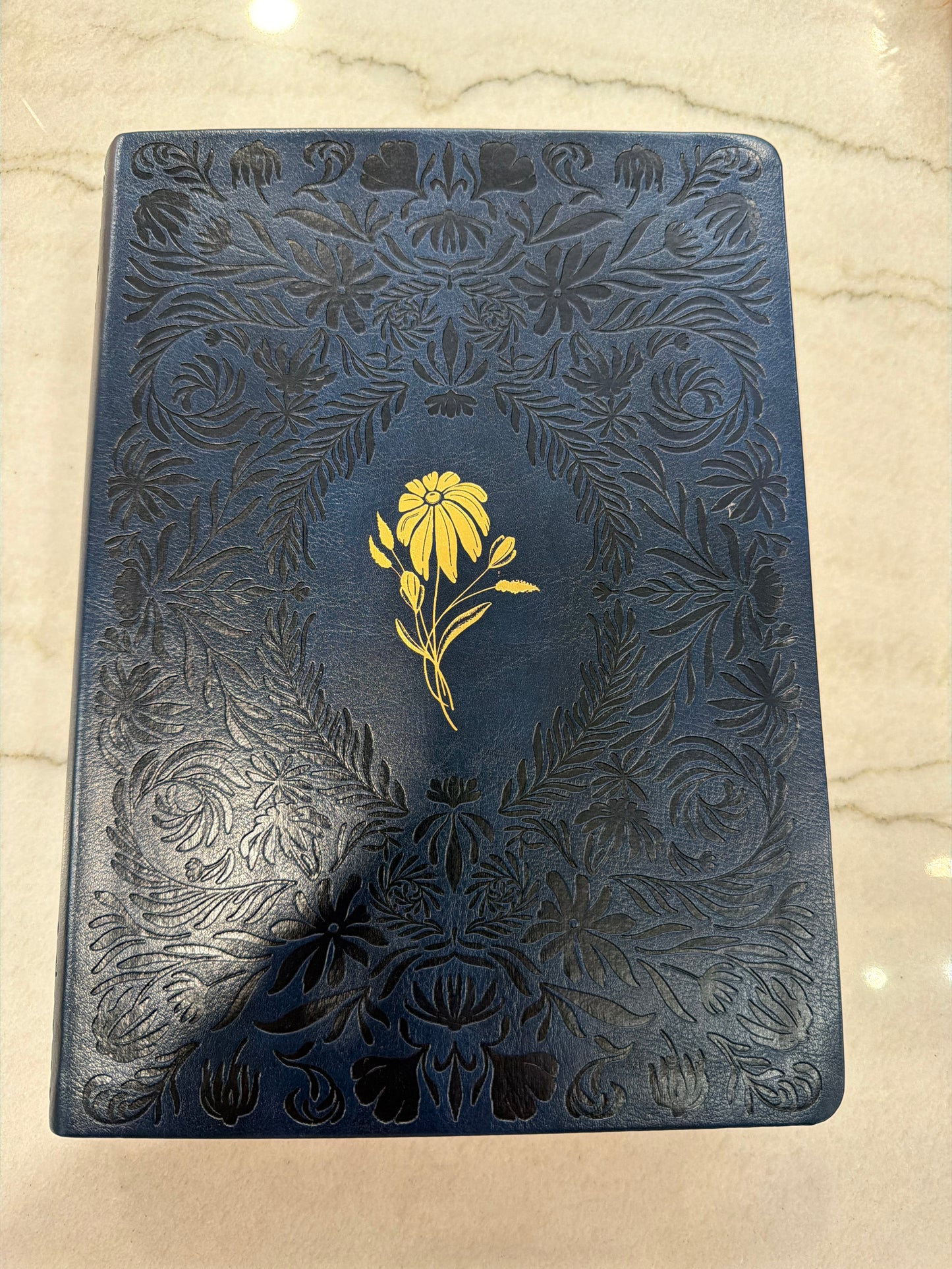 Chloe CSB Study Bible