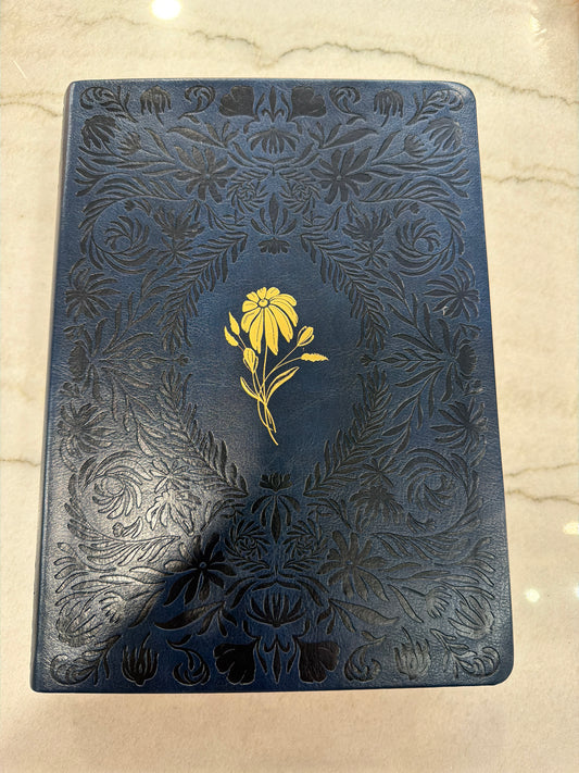Chloe CSB Study Bible