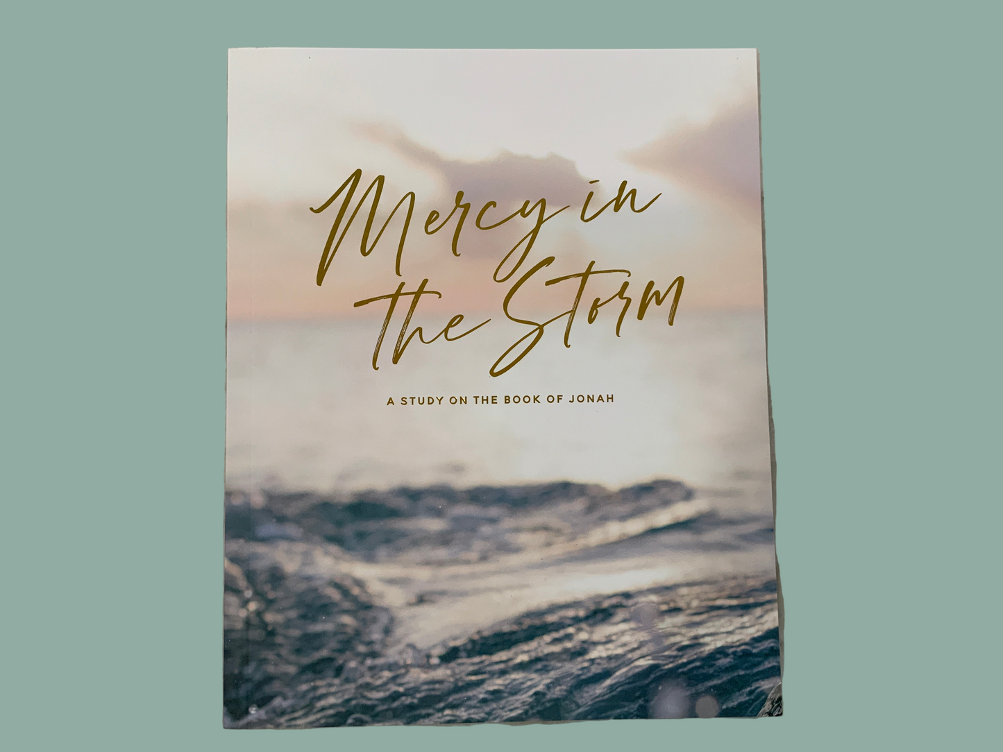 Mercy in the Storm Study