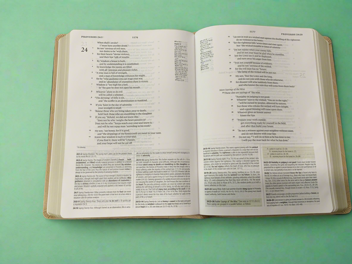 Lola Tan Bible - ESV Study Bible