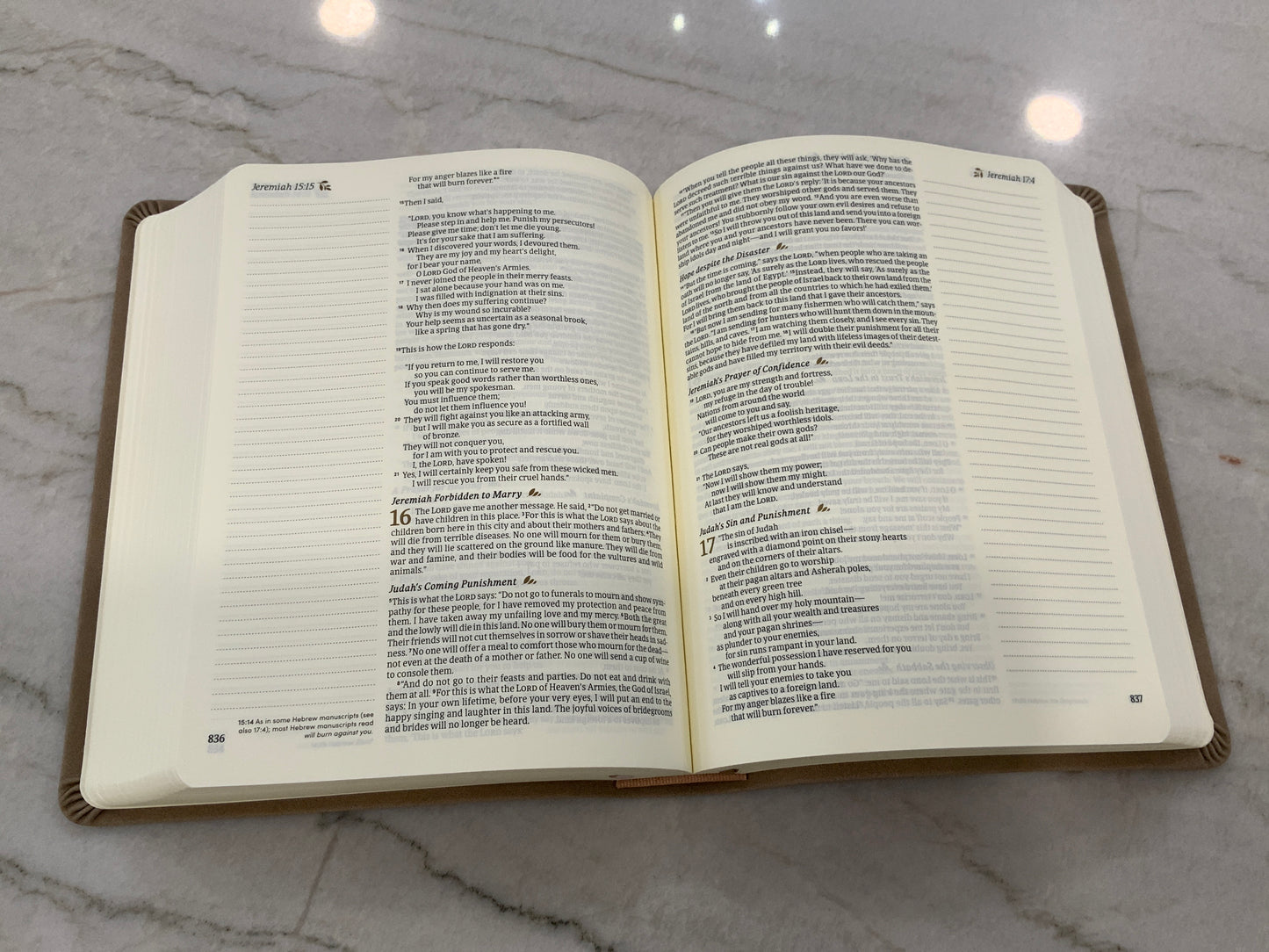 Amber Bible- NLT
