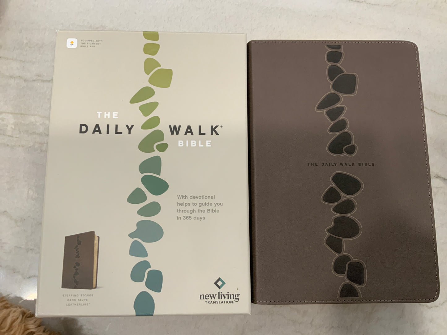 The Daily Walk NLT Bible