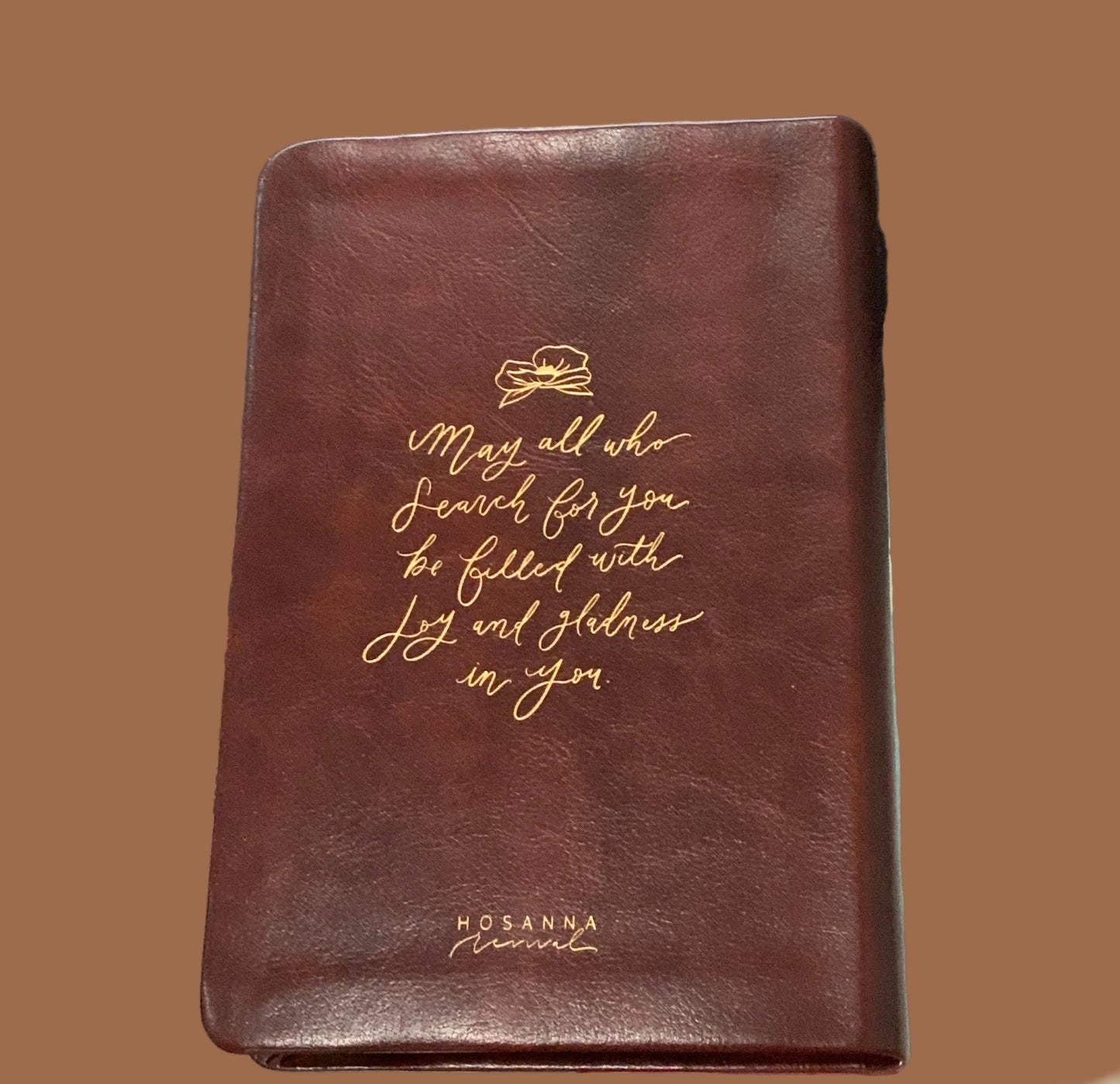 Hailey Compact Bible- NLT