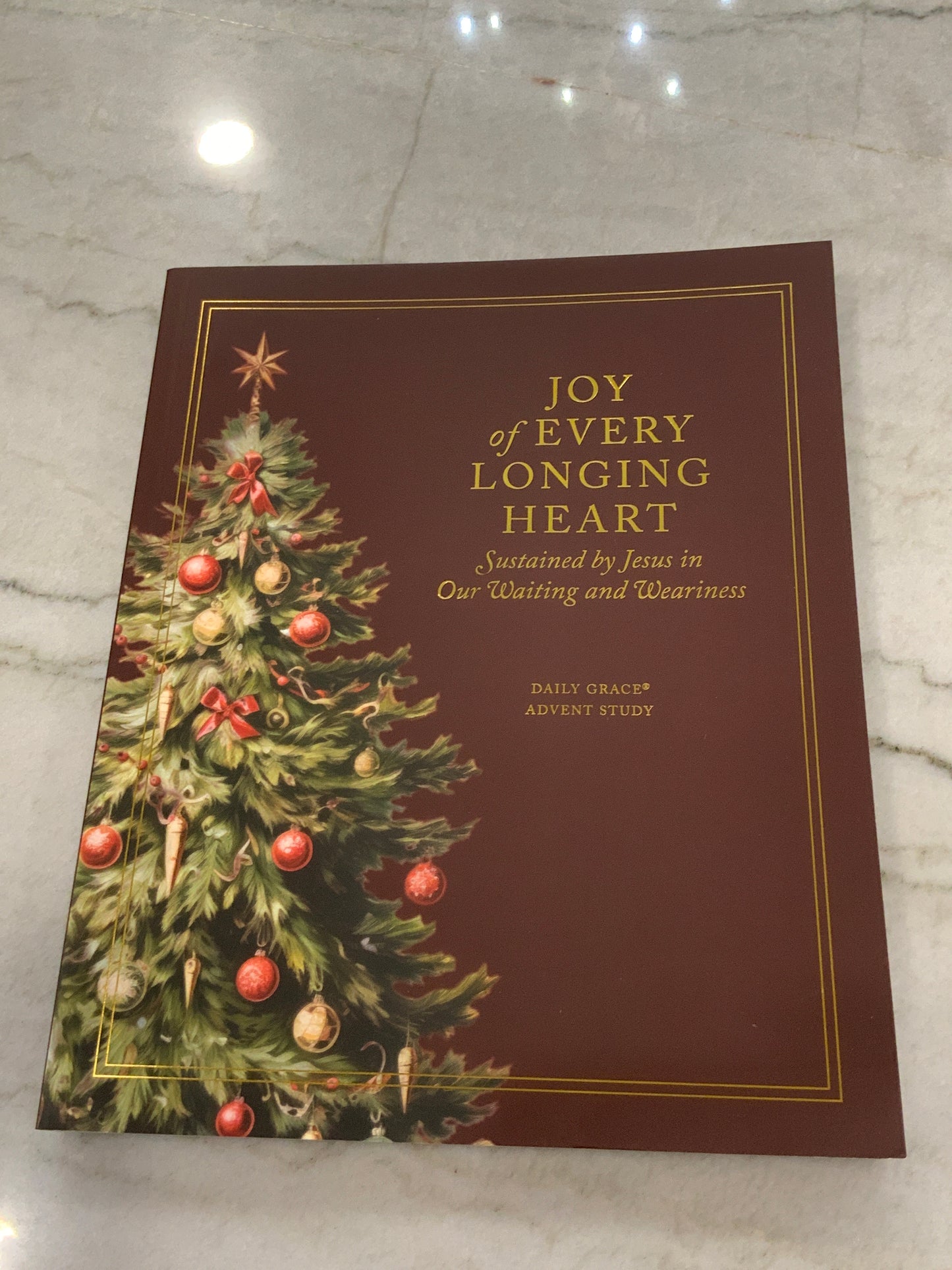 Joy of Every Longing Heart Advent Study