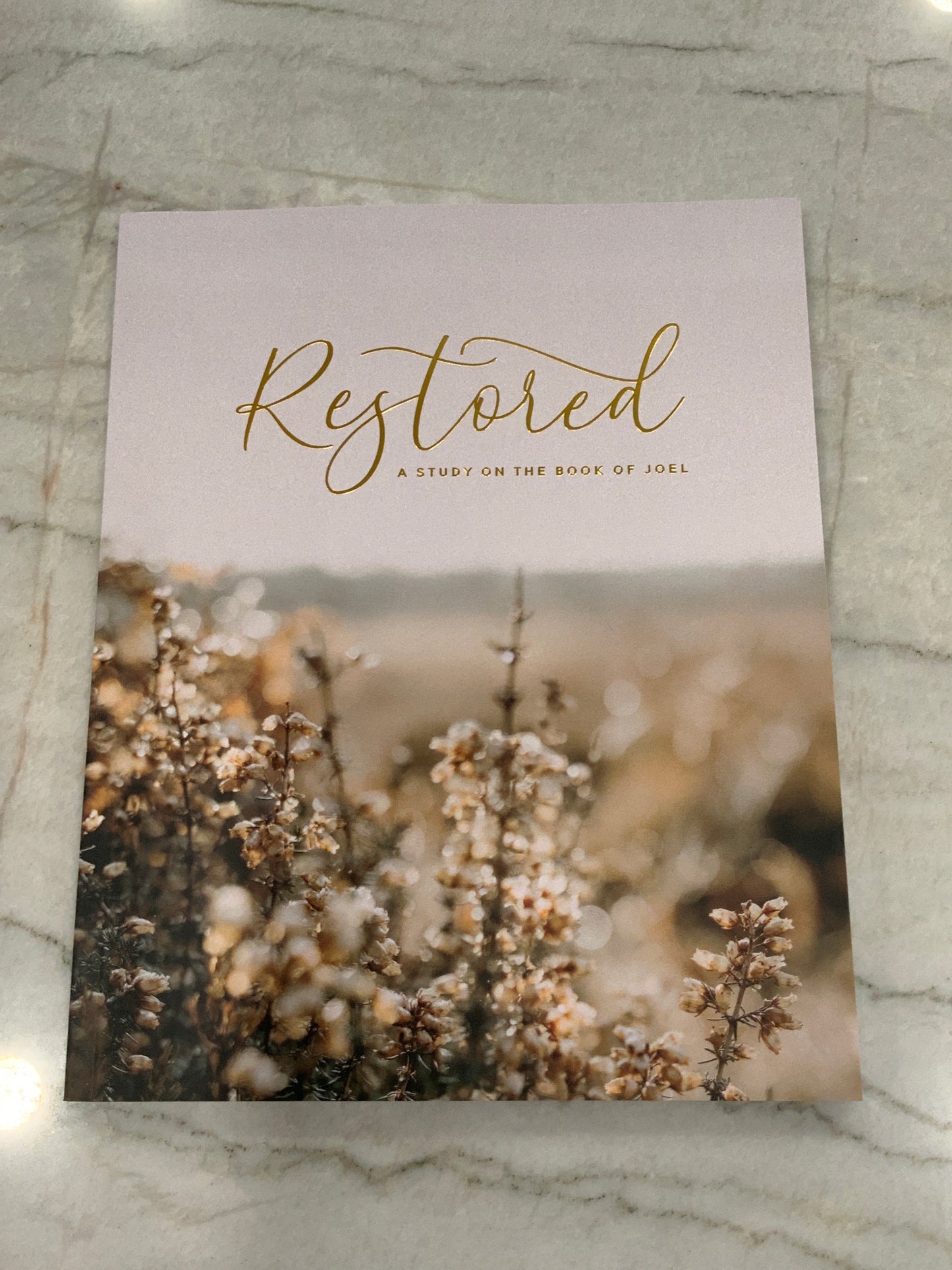 Restored Study of Joel Devotional