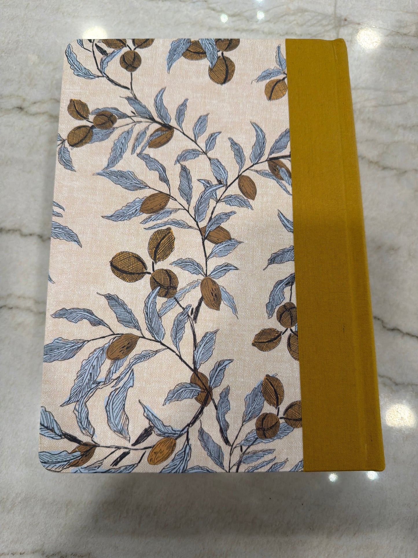 ESV Yellow and blue journaling Bible