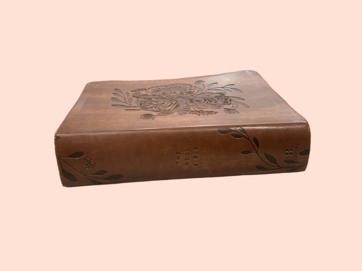 Anna Study Bible - ESV