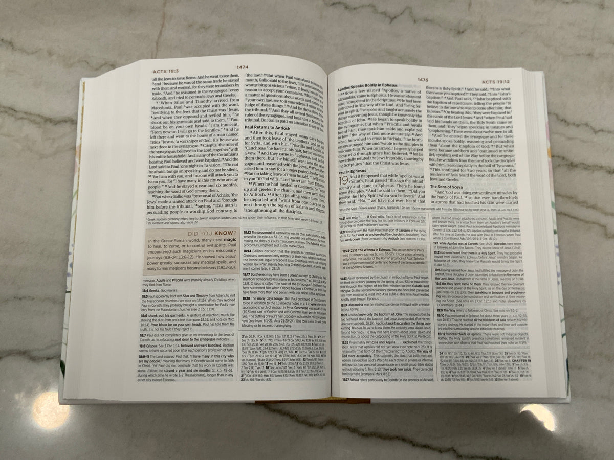 Sunburst Student Study Bible ESv