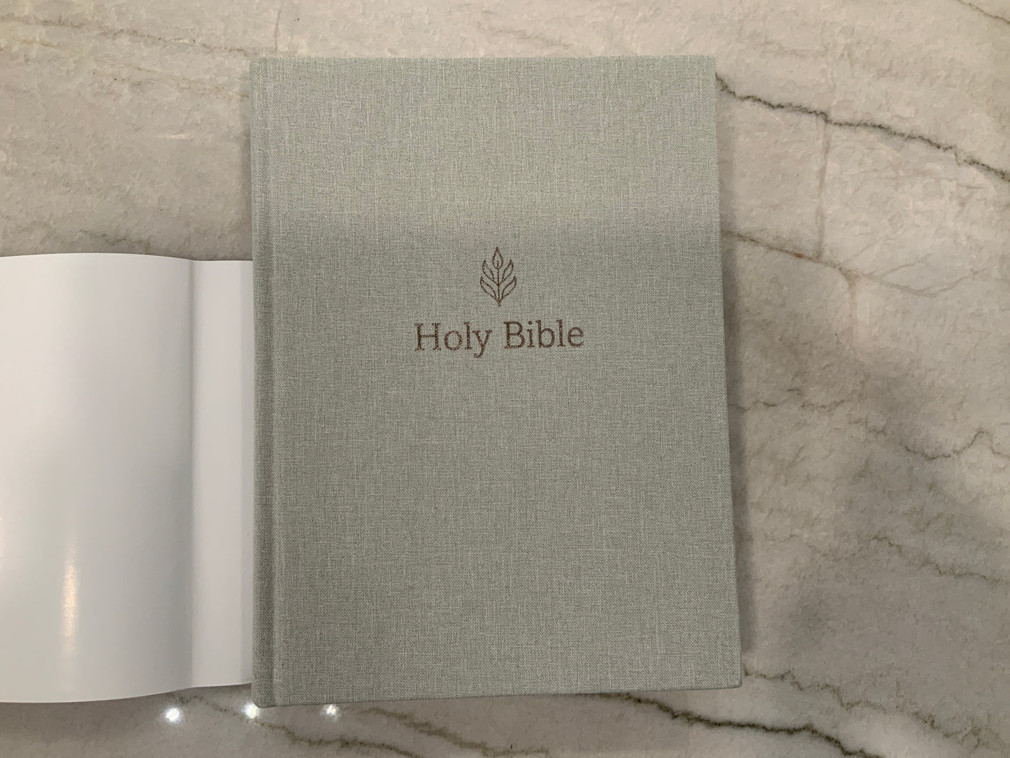 Pewter Simplified King James Bible
