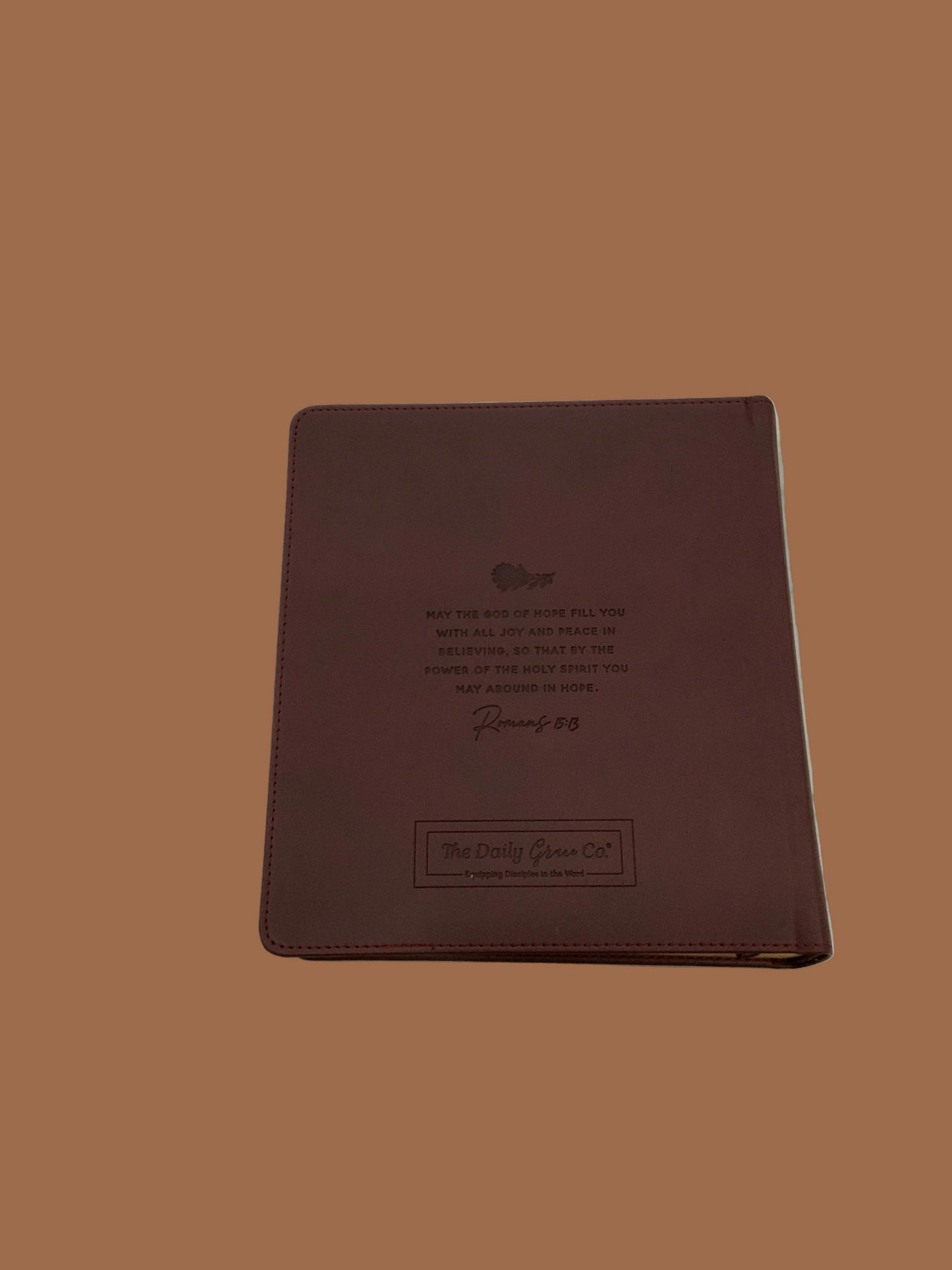 The Story of Redemption Journaling Bible-ESV