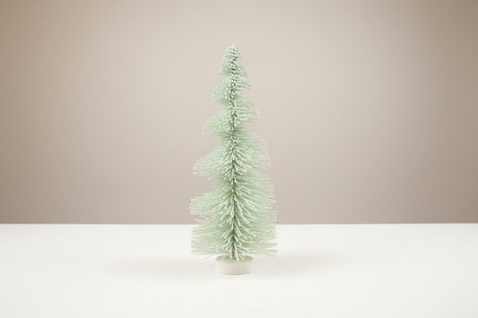 Big Bottle Brush Tree