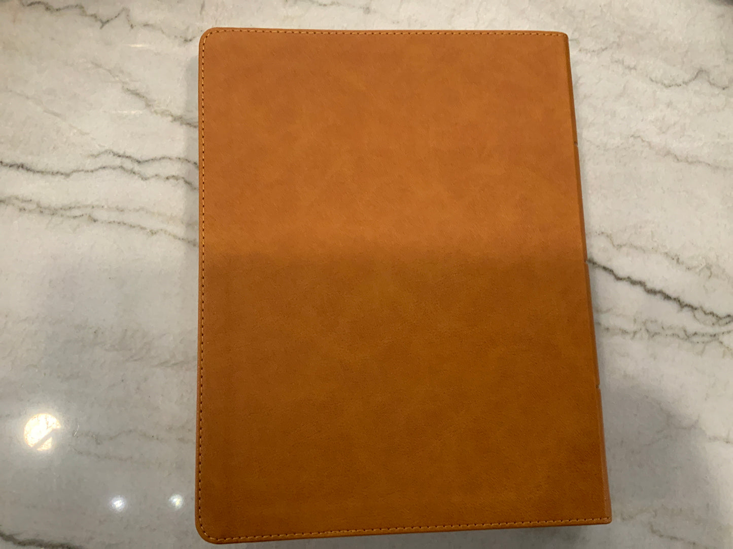 Clara Bible CSB (117)