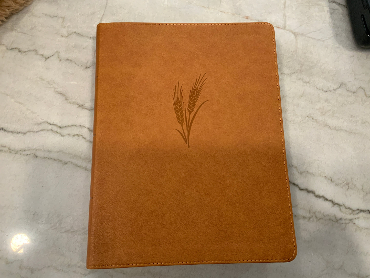 Clara Bible CSB (117)