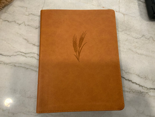 Clara Bible CSB (117)