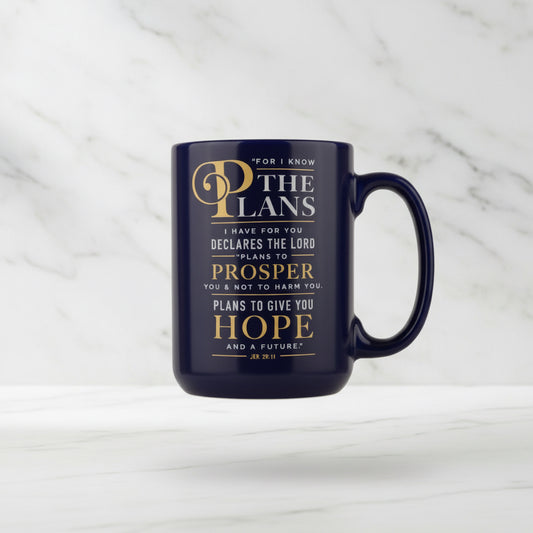 For I Know The Plans Navy Mug