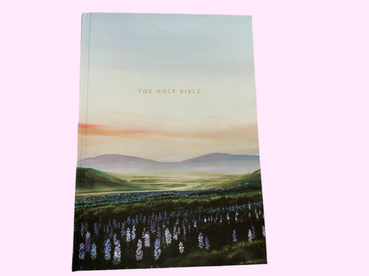 Willow Study Bible (117)