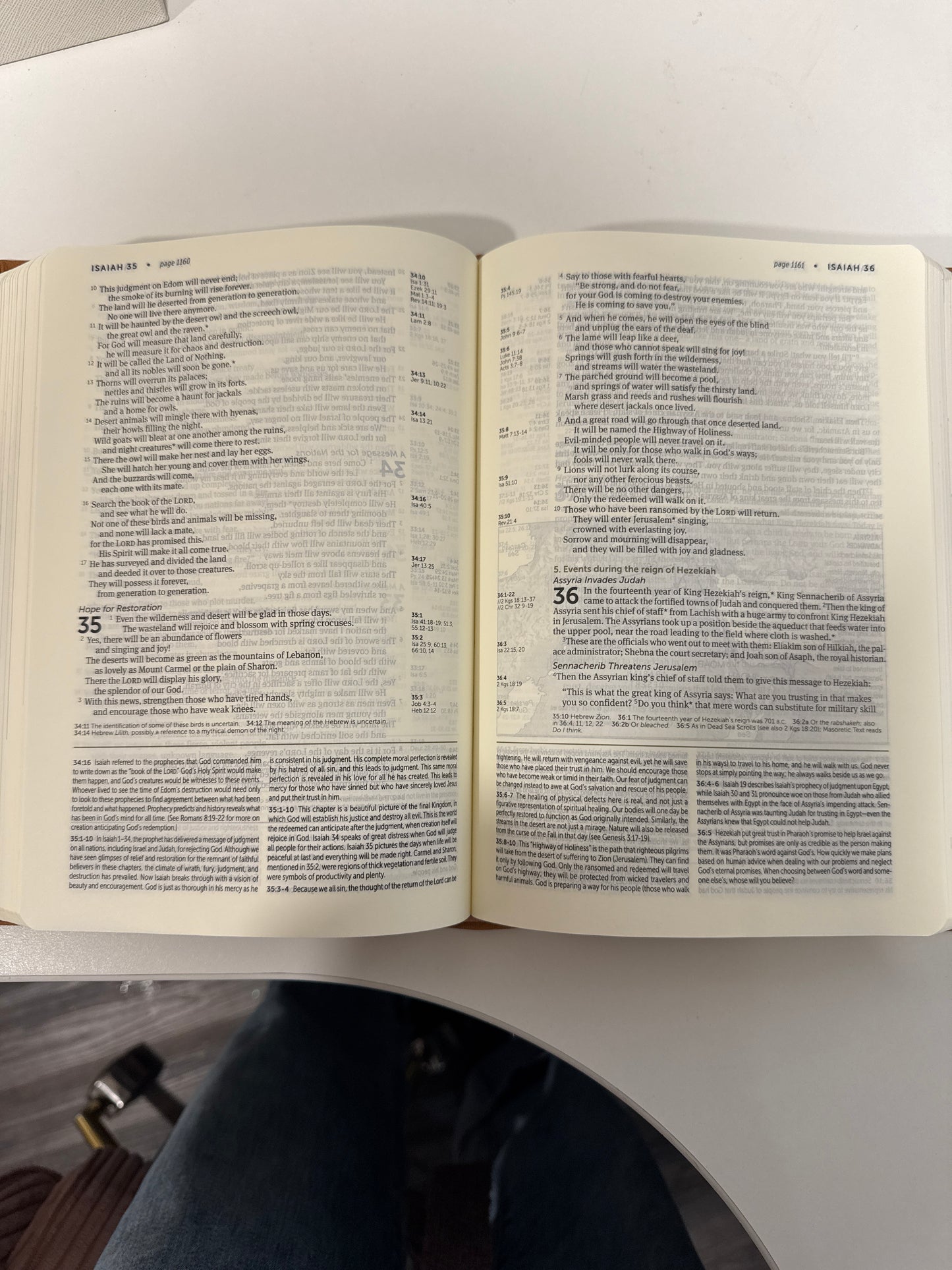 Chloe Bible NLT - Life Application Study Bible