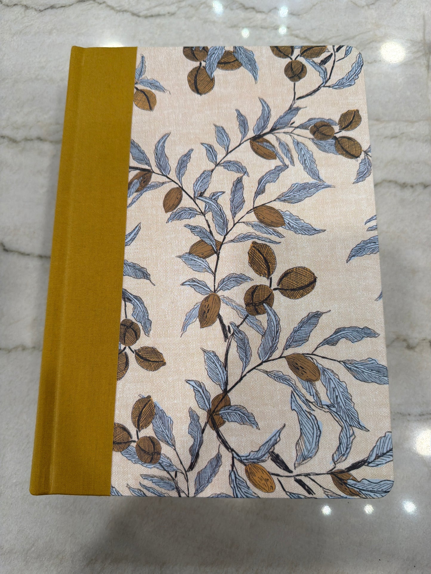 ESV Yellow and blue journaling Bible