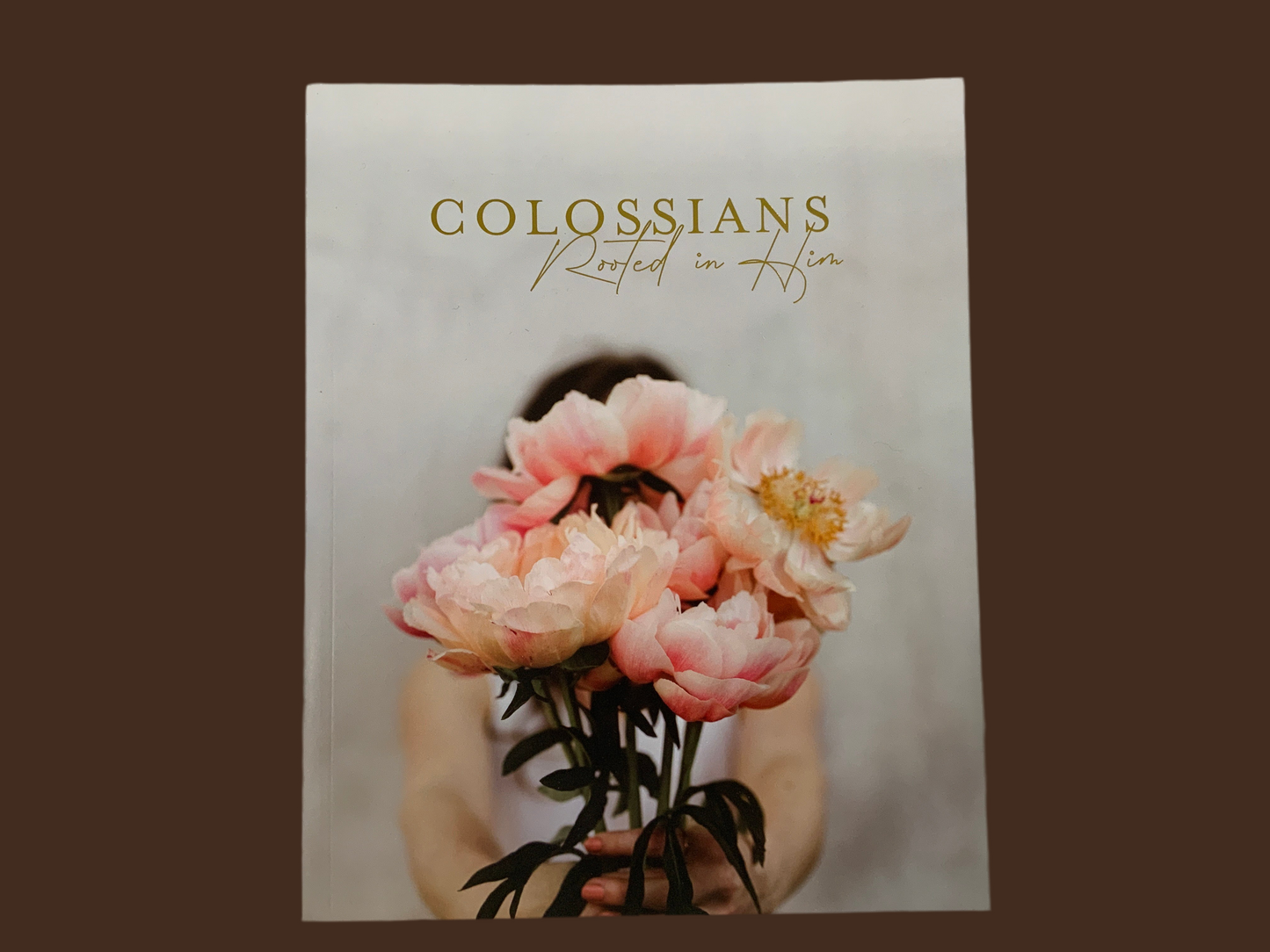 Colossians Rooted in Him Devotional
