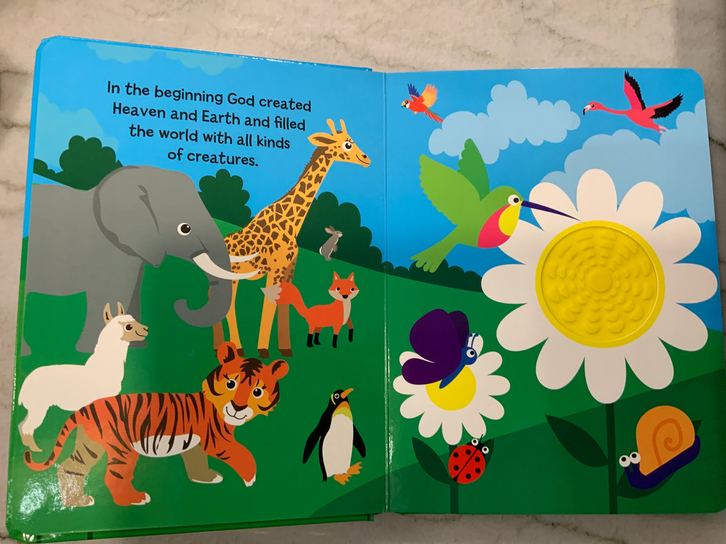 Animals of the Bible Touch and Feel